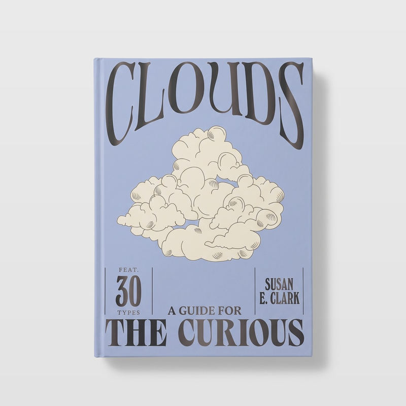 Chronicle Books Clouds nature guide book, light blue cover with dark gray title and cream cloud illustration, front on white.
