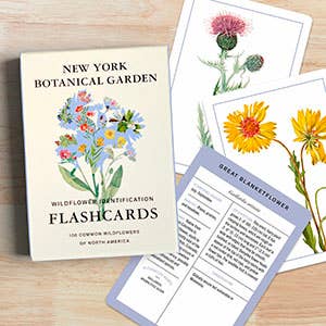 
                    
                      New York Botanical Garden Wildflower ID Flashcards box and fanned laminated cards showing various wildflower illustrations,…
                    
                  