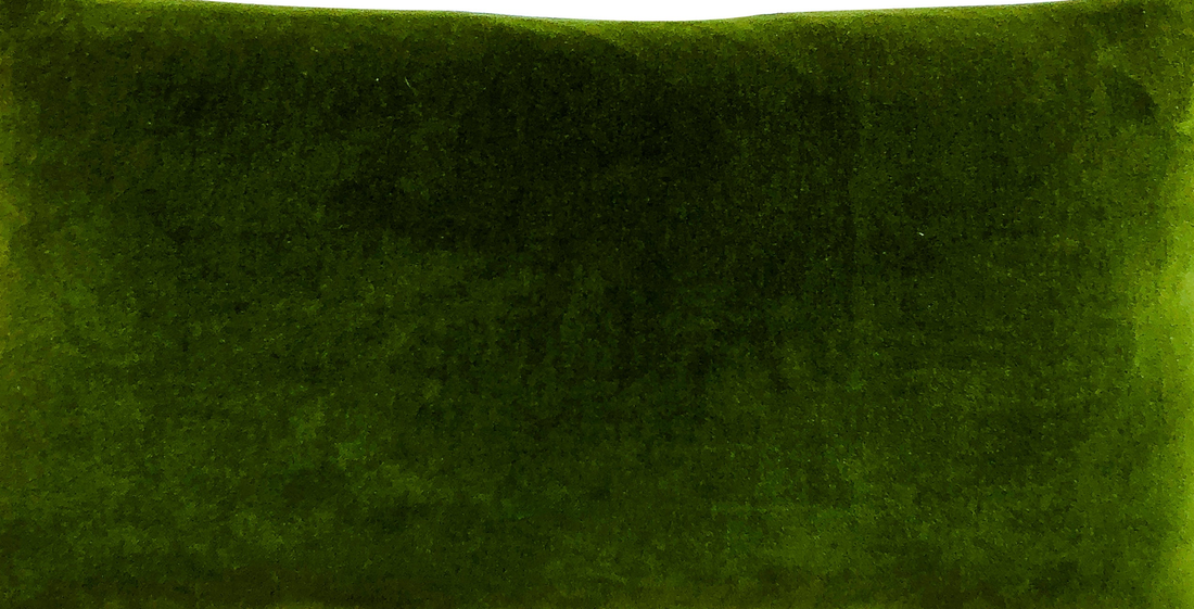 Ellie Wristlet, deep green cotton velvet, close-up showing soft textured fabric