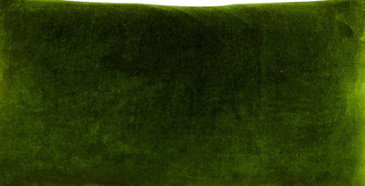 
                    
                      Ellie Wristlet, deep green cotton velvet, close-up showing soft textured fabric
                    
                  