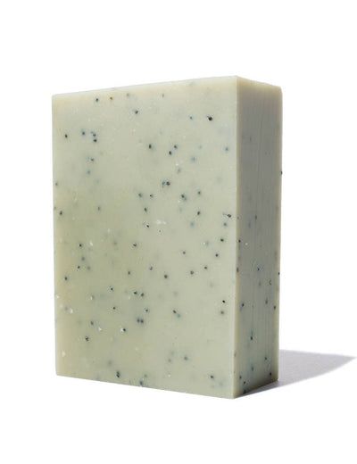 
                    
                      Basil Bar Soap, pale green with visible dark poppy seeds, angled standing view on white.
                    
                  