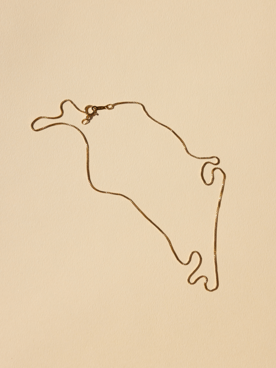NAT + NOOR Delicate Gold Box Chain Necklace, 18K gold-filled, flat lay full view on a cream background.