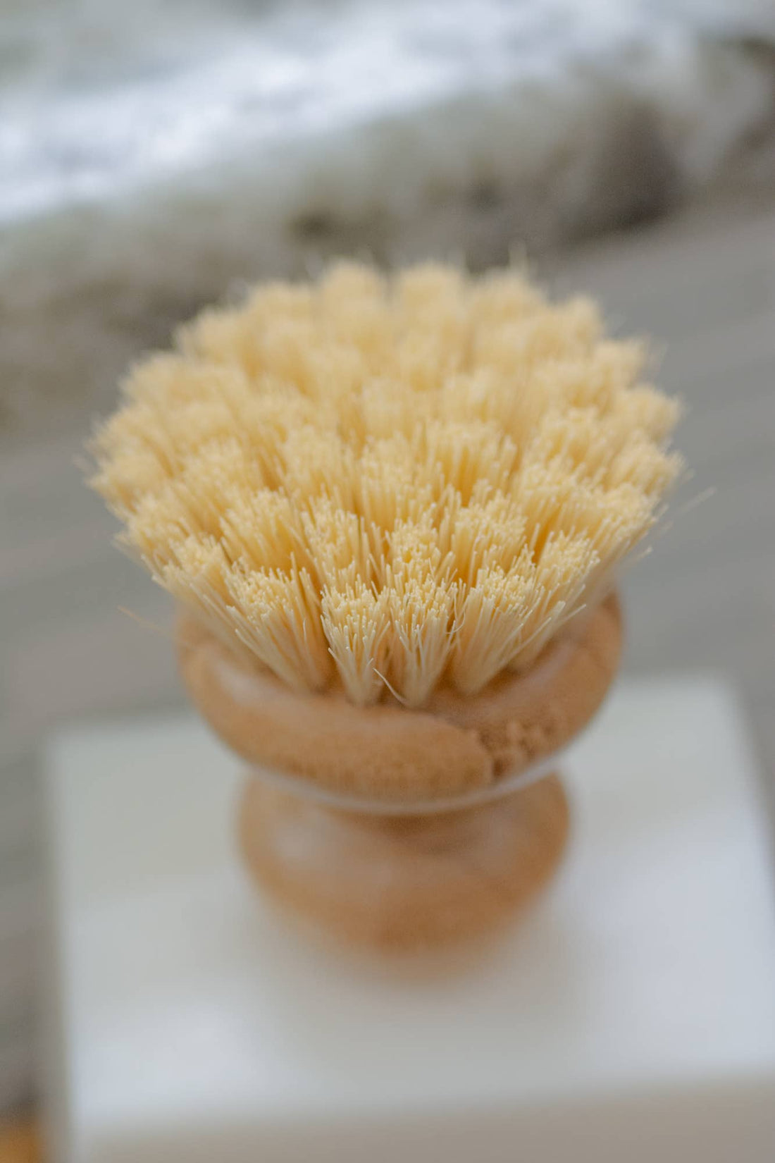 Casa Agave Dish Washing Brush, close-up detail of light natural agave fiber bristles and textured Moso bamboo handle from…