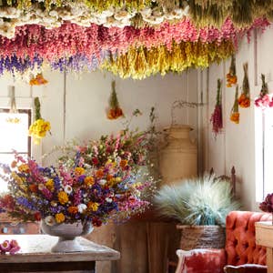 A vibrant room filled with colorful dried flower bouquets on a table and garlands hanging from the ceiling, illustrating…