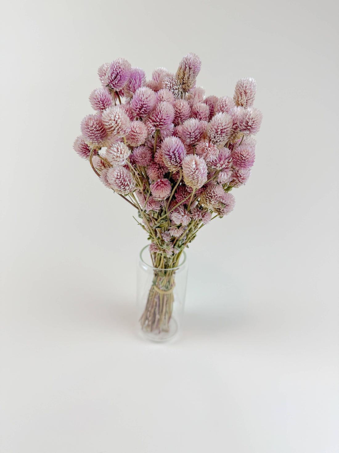 Blush pink Globe Amaranth dried flower bouquet, stems visible in clear glass vase.