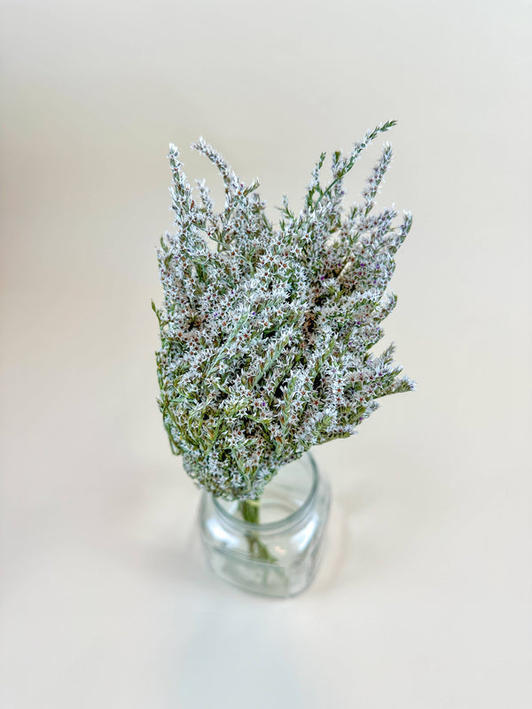 Lovejoy Farms German Statice, Natural White dried flower bouquet in a clear glass jar, white and green blooms, top-down view.