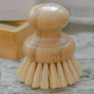 
                    
                      Casa Agave Dish Washing Brush, light Moso bamboo handle and natural agave fiber bristles, close-up showing texture detail.
                    
                  