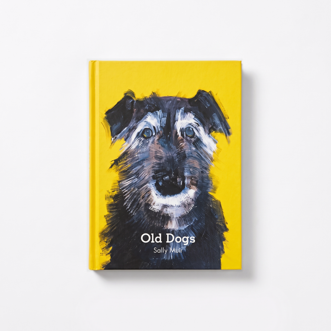 HarperCollins Old Dogs studio product photo on a neutral off-white background