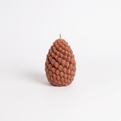 
                    
                      Mo&Co Home Sculpted Beeswax Pine Cones studio product photo on a neutral off-white background
                    
                  